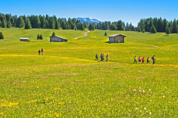 Family of hikers along trail in the Dolomites