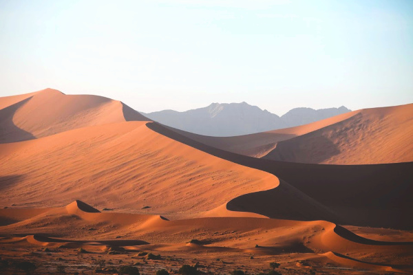 Namibia desert in the sahara