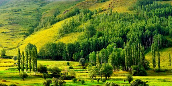 Green landscape in Europe