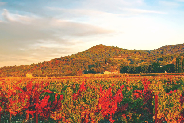 October winetasting in France