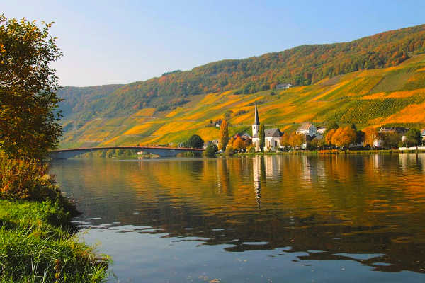 Piesport in autumn on the Moselle