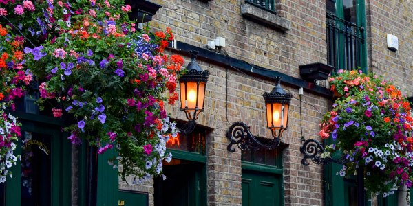 Traditional pub in Ireland CIE Tours