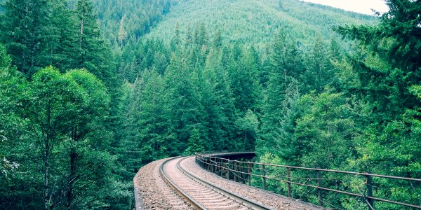 train track through national park