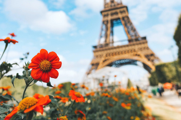 Eiffel Tower with red flowers in front