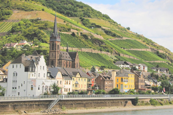 Rhone river town and vineyards