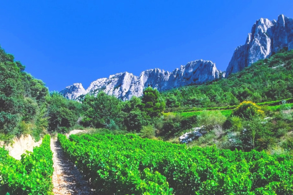 Lush green rhone valley in France