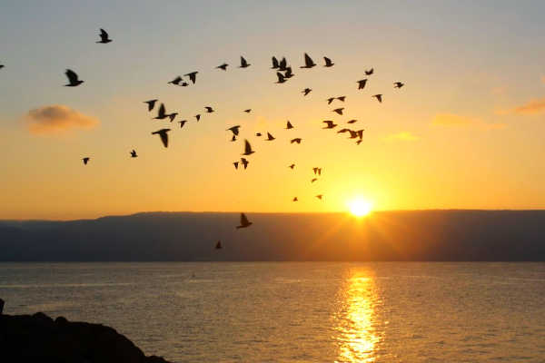 Sunset on the sea of galilee in the Holy Land