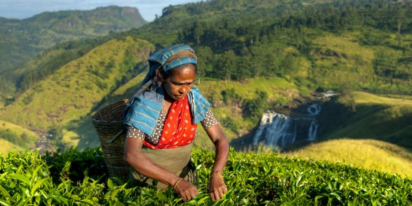 Woman in Sri Lanka on immersive tour with National Geographic expeditions