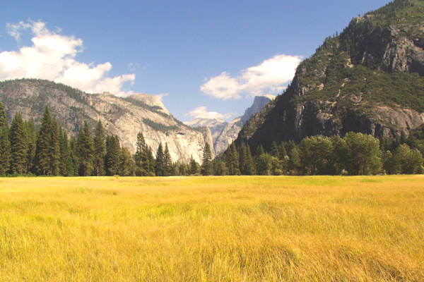 Driving on Tioga Road through Yosemite National Park