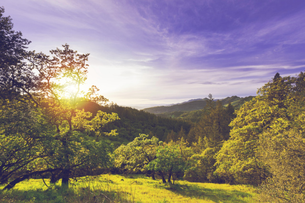 Sonoma valley