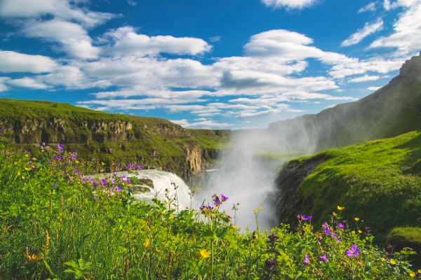 waterfall and wildflowers in iceland