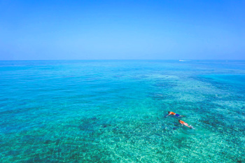 Two people snorkeling in the Caribbean sea