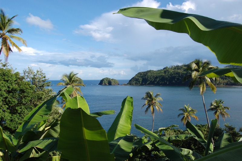 Dominica Island in the Caribbean