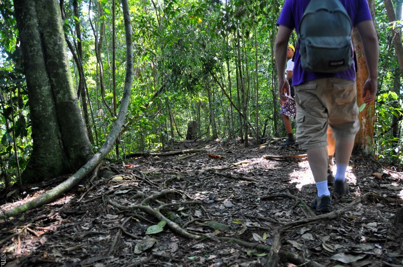 Indonesia Trek