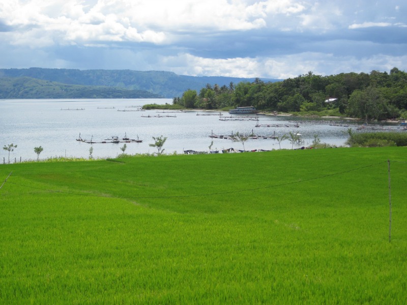 Indonesia landscape