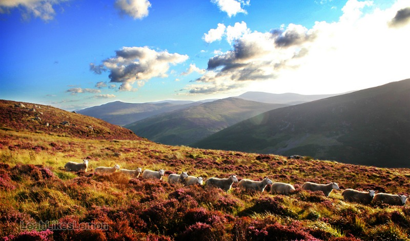 Ireland Walking Tour