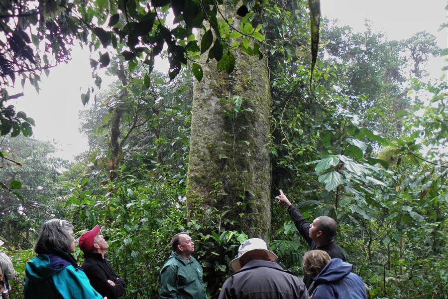 group-gathered-in-monteverde-cloud-forrest