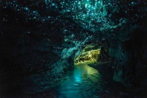 New Zealand Glow Worm Cave
