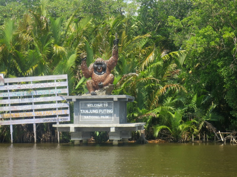 Tanjung_puting_national_park