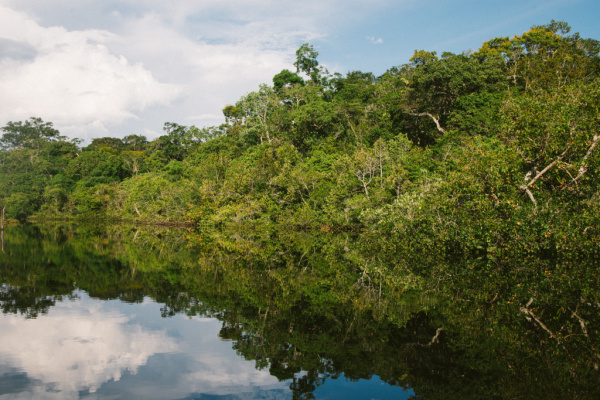 Amazon River, Brazil.