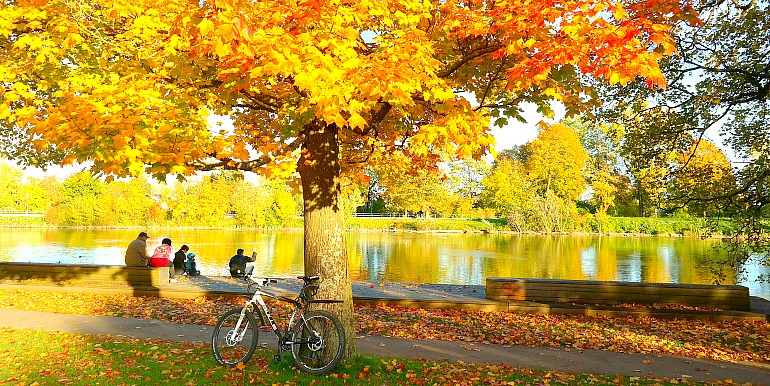 Cycling across the Danube river