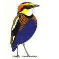 Birdtour Asia logo