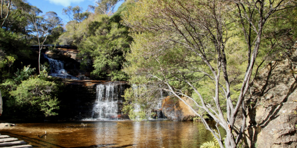 Beautiful waterfall in Blue Mountains, Sydney, Australia.