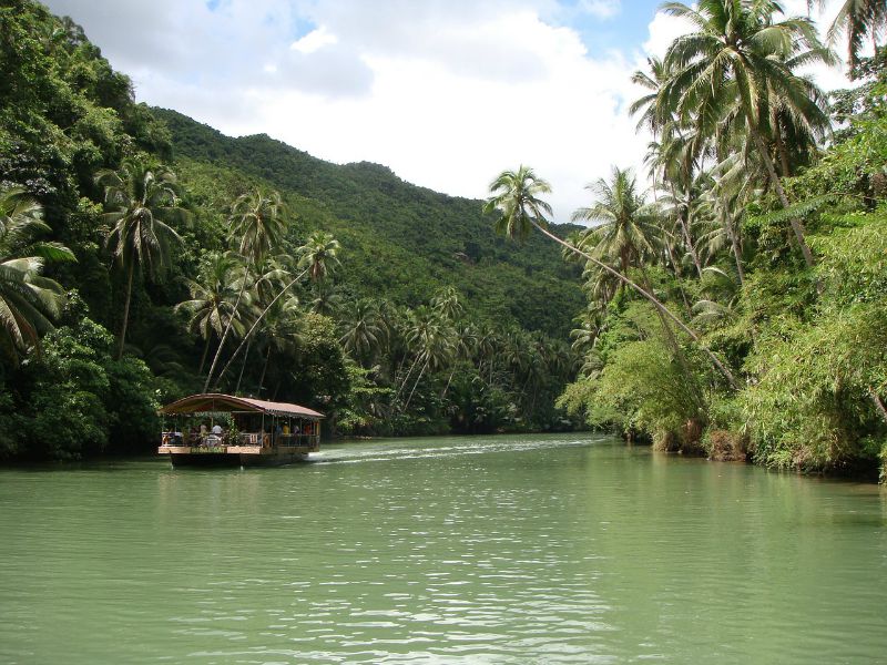 Buhol Rainforest in the Philippines