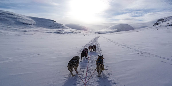 Riding in a dog sled is one of the many unforgettable experiences that 50 Degrees North provides to its travelers.