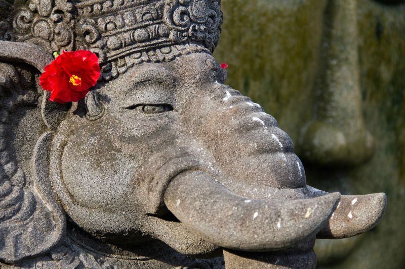 Elephant, Bali