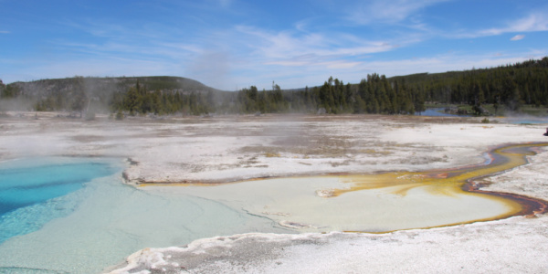 Norries geyser basin in Yellowstone National Park located in the United States.