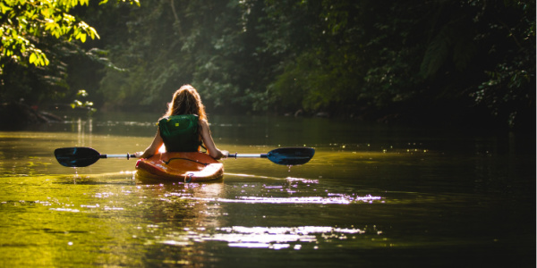 Travelers will get the opportunity to be immersed in nature and wildlife while kayaking.