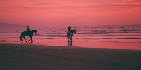 Horseback riding is something travelers can experience in Mozambique.