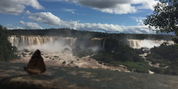 A stunning view of Iguazu Falls.