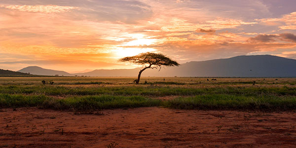 A beautiful sunset at Tsavo East National Park in Kenya.