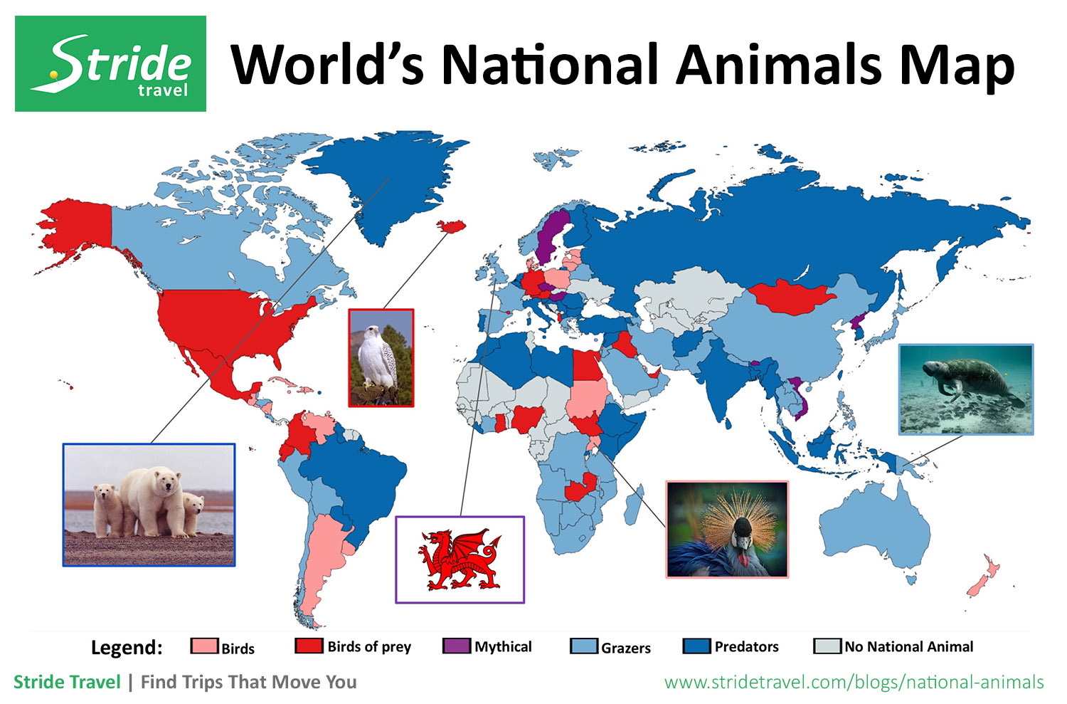 National Animals Of The World - Interactive Infographic