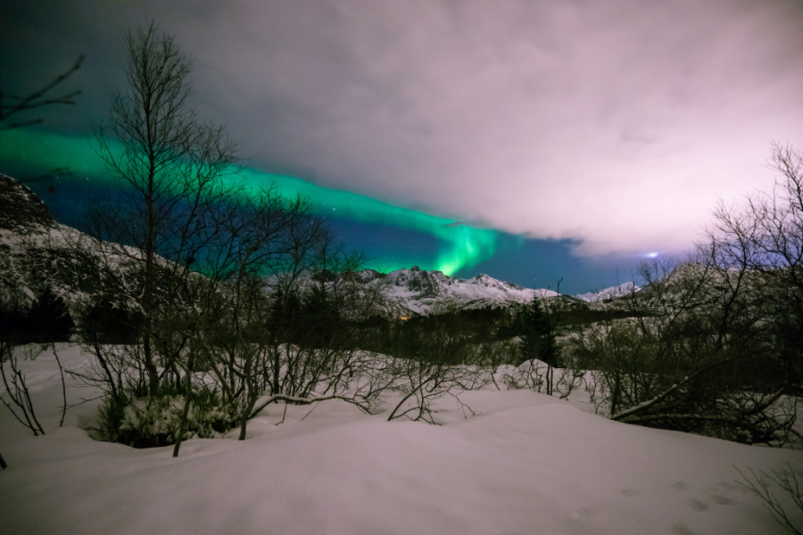 northern-lights-in-norwegian-woods