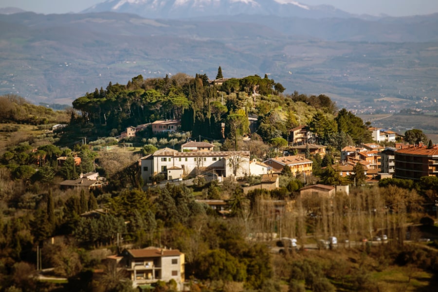 vineyard-chianti-hills-tuscany-italy