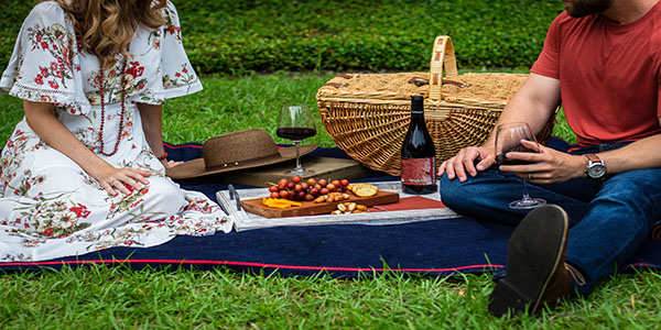 Picnic and wine is a beautiful activity offered by InquisiTours.