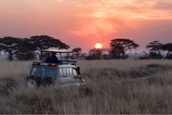 Safari in Tanzania.