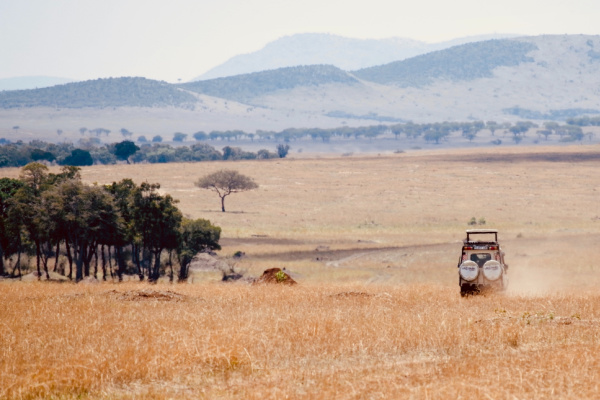 Serengeti National Park.