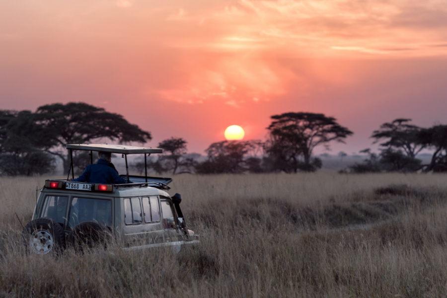 tanzanian-safari-at-sunset
