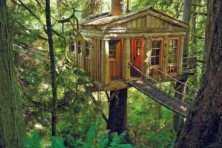 tree house