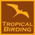 tropical birding logo