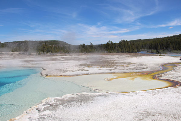 Norries geyser basin in Yellowstone National Park located in the United States.