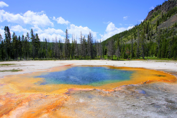 Yellowstone National Park.