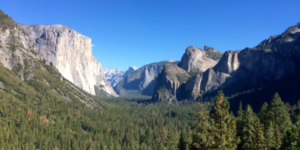 Yosemite National Park.